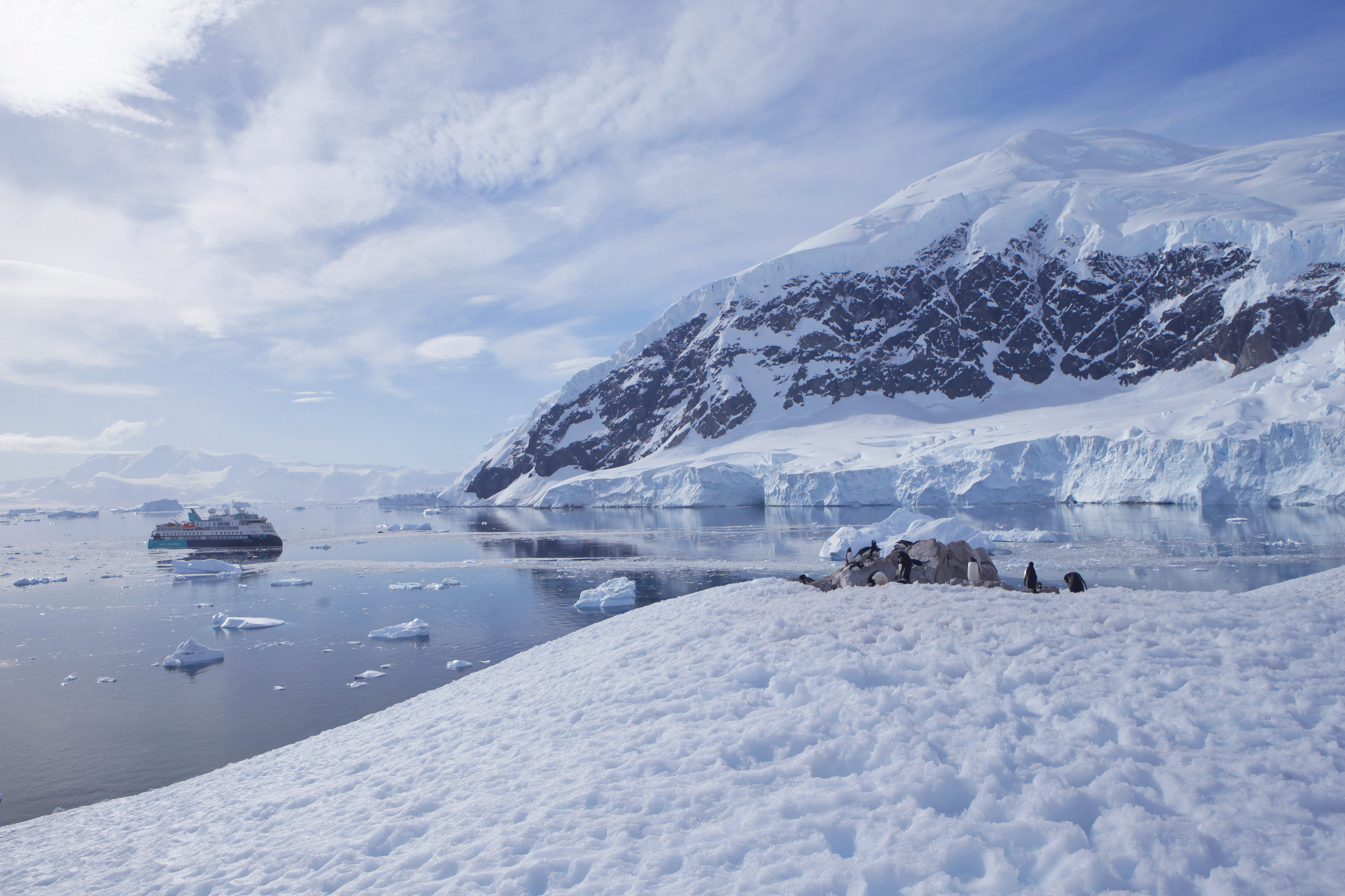 Polarkreuzfahrt mit der Sylvia Earle: Kleine Expeditionsgruppe, intensive Landgänge, moderne Technik und nachhaltiges Reisen in Arktis oder Antarktis.