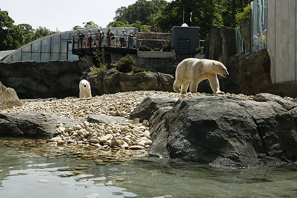 Zoo-Schoenbrunn Lynn-und-Ranzo