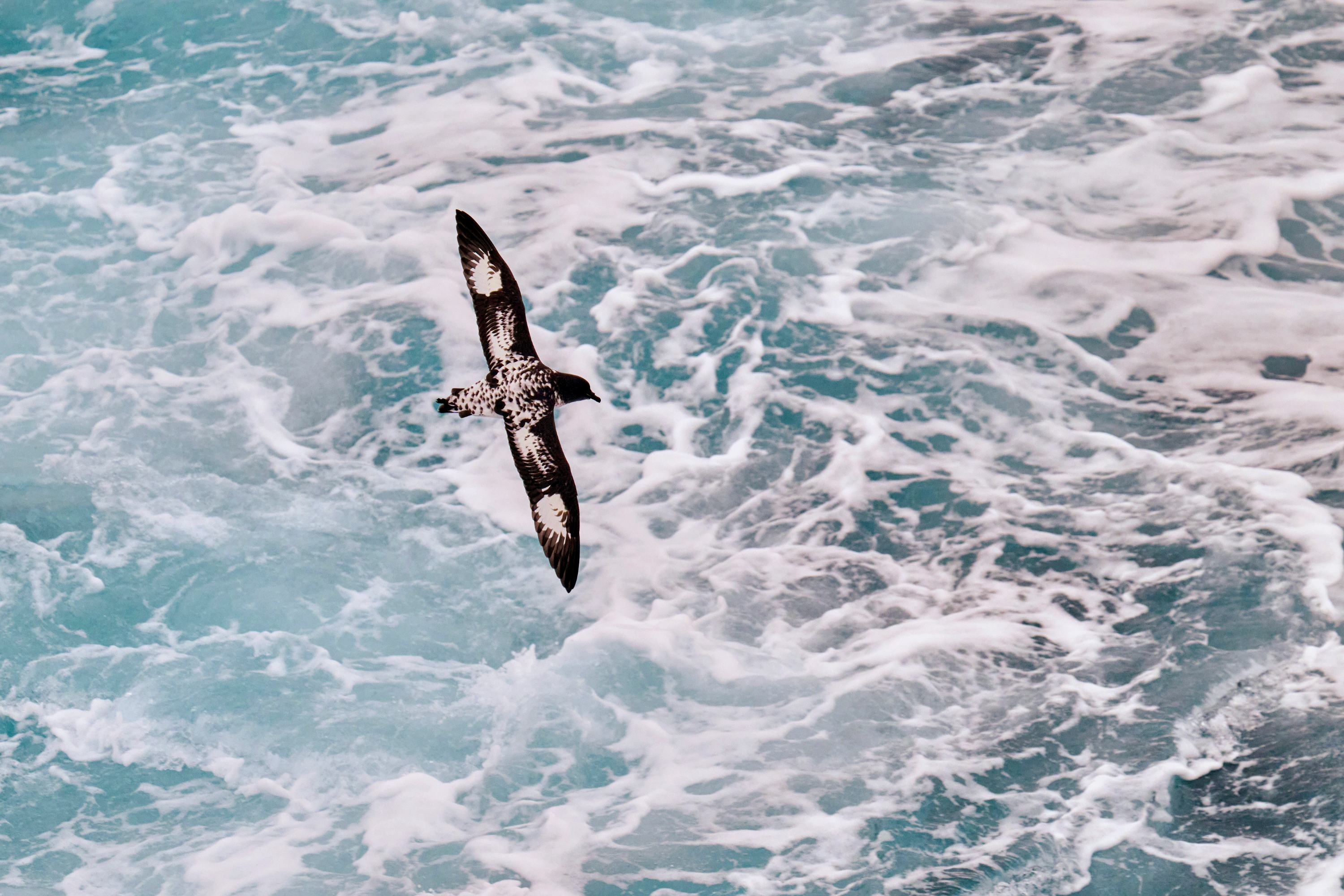 Eine Reise die bleibt an Bord der MS Sylvia Earle