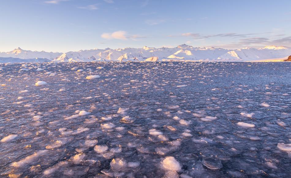 Am Ende des Sommers, wenn die Temperaturen in der Antarktis sinken, beginnt das Meer zuzufrieren, als erstes bildet sich sogenanntes Pfannkuchen-Eis. Nachdem im März ein neuer Tiefstwert erreicht wurde, steigt die antarktisch Meereisbedeckung mit dem herannahenden Winter nun langsam an, sie liegt jedoch weit unter dem Durchschnitt bisheriger Jahre. (Bild: Katja Riedel).