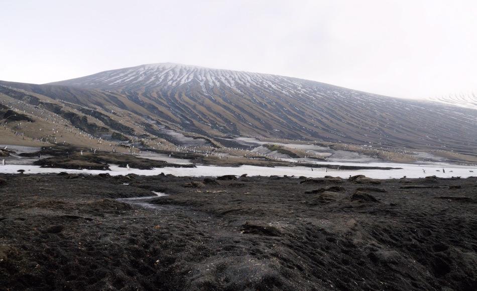 Vulkanische Inseln bilden einen guten Brutplatz aufgrund der reduzierten Schneedecke und genügend Nahrung im umliegenden Meer, wie beispielsweise rund um die Südsandwichinseln. Doch die Bedrohung durch Ausbrüche liegt immer drohend über den Kolonien. Bild: Michael Wenger