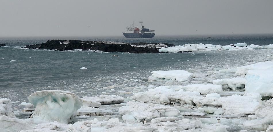 Die MV Ortelius liegt vor dem vereisten Strand von Saunders Island.