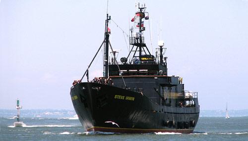 MV-Steve-Irwin