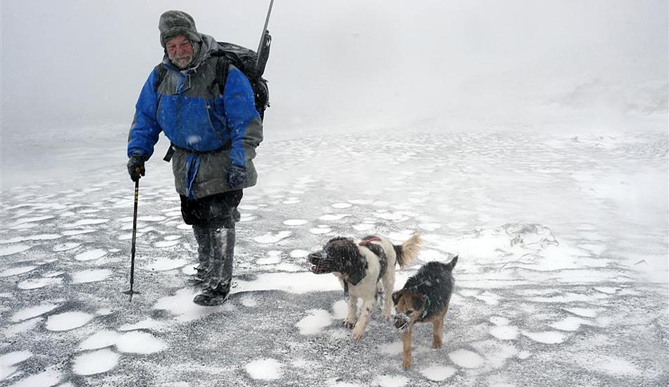 Gary Bowcock und die Jagdhunde Tama und Joker unterwegs durch die Schneeverwehungen am Strand der Sandy Bay zu Beginn der Jagd auf die Kaninchen im Macquarie Hochland.