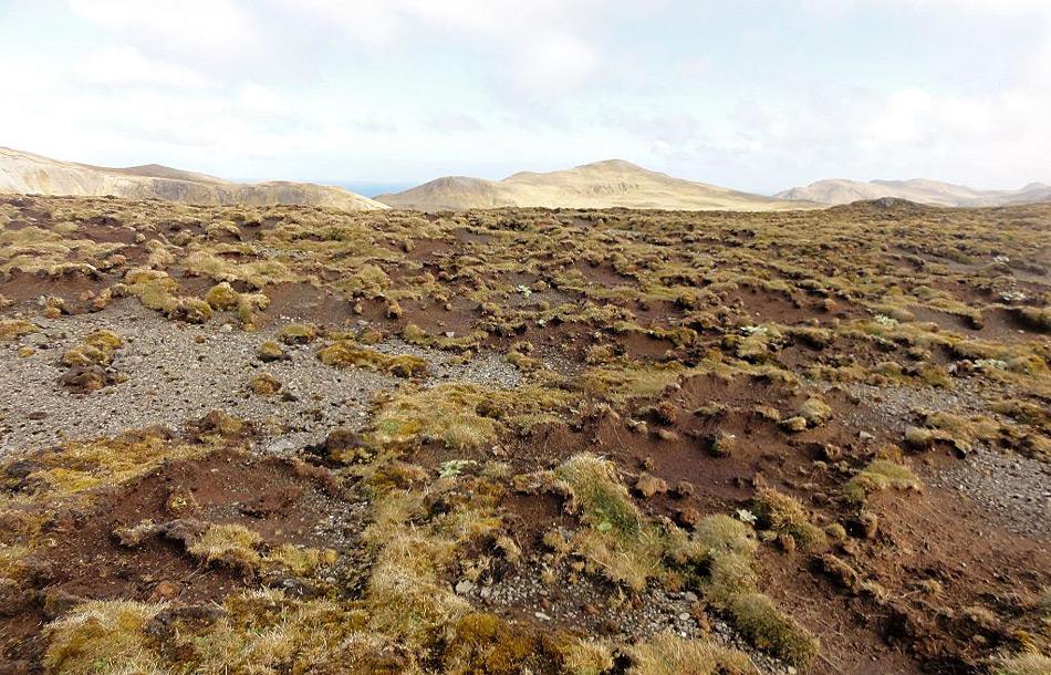 Durch das Absterben der Pflanzen wird der Boden und damit die Nährstoffe von den stärkeren Winden wegerodiert und hinterlässt einen kahle Narbe in der Landschaft. Bild Dana Bergstrom