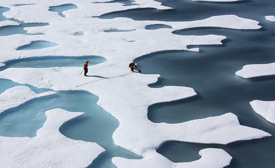 Algen wachsen unter dem Meereis in der Arktis. Bisher wurde angenommen, dass sie erst im Frühjahr aktiv werden, wenn das Eis schmilzt und Licht in die Tiefe vordringt. (Bild: NASA Goddard Space Flight Center aus Greenbelt, MD, USA, hochgeladen von PDTillman)
