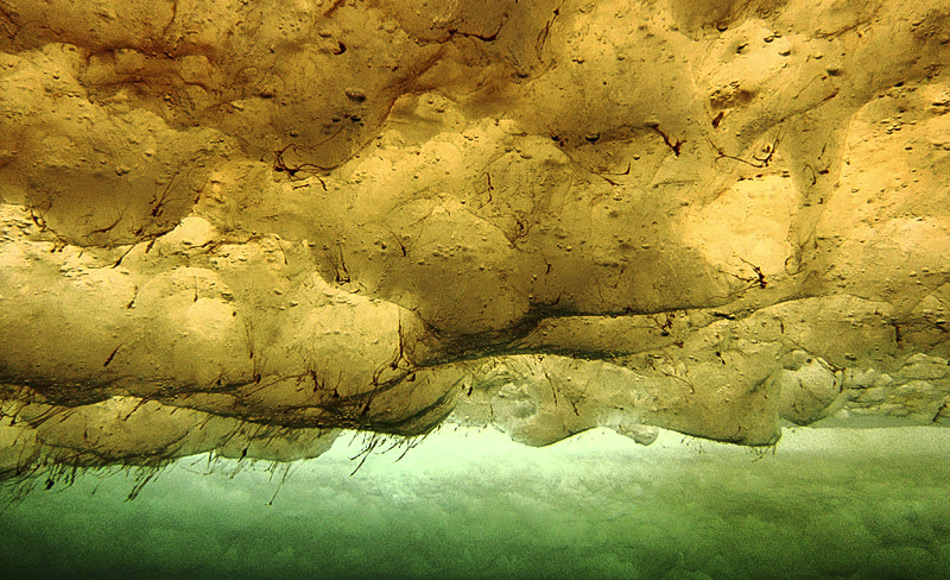 Unter dem Meereis hat sich eine Algengemeinschaft angesiedelt. Die Unterseite des Meereises stellt einen extremen Lebensraum dar, kalt, salzig und dunkel während der meisten Zeit des Jahres. (Bild: Andrew Thurber - Tiefsee- und Polarbiologie. Ein Forschungsblog über Polar- und Tiefseeforschung)
