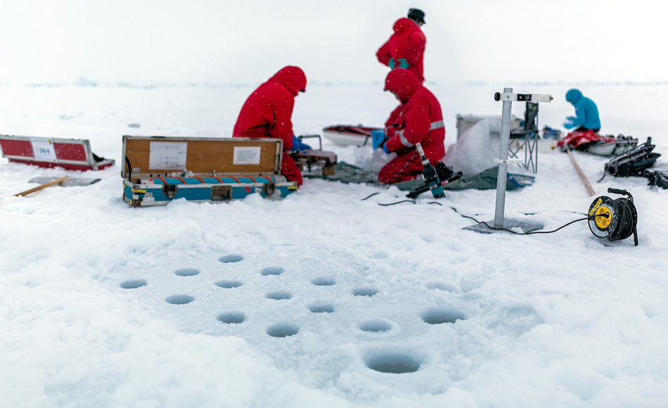 Eine Biogeochemiegruppe des deutschen Forschungsteams des Alfred-Wegener-Instituts bei der Arbeit. Auf einem kleinen Areal, auf dem sie mit einem hohlen Bohrer das Eis durchbohren, entnehmen sie Eiskerne und zersägen sie in kurze Stücke, die die Schichten von der Eisoberfläche bis zur Unterkante repräsentieren. Diese wandern gut dokumentiert in Tüten und werden auf dem Schiff von verschiedenen Gruppen analysiert. Nach dem Auftauen wird z.B. ein Kern gefiltert, um die Menge an Eisalgen zu bestimmen. Bild: Stefan Hendricks