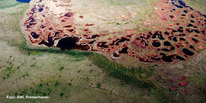 Eine Aufnahme aus der Bordkamera des Forschungsflugzeuges. Es zeigt das typische Muster des gefrorenen Bodens.