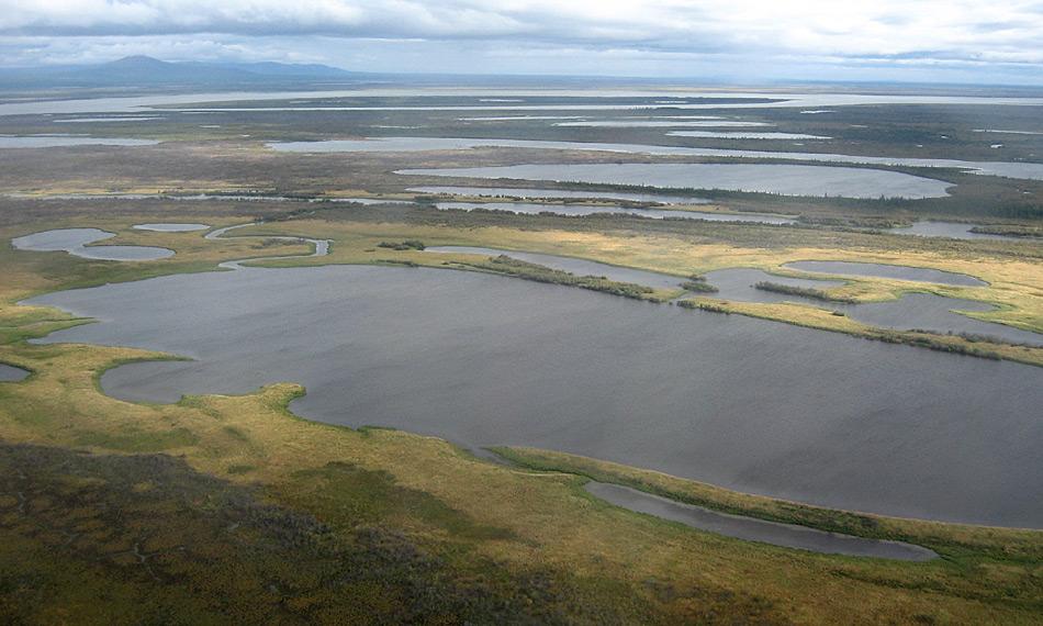 Eine Luftaufnahme mehrerer Thermokarst-Seen in der sibirischen Kolyma-Region. Die flachen Permafrost-Regionen im Hohen Norden sind heutzutage übersäht mit Hunderttausenden Thermokarst-Seen und -becken. Sie entstanden vor allem in der Übergangszeit vom Pleistozän ins Holozän und dem anschliessenden Holozän-Wärmemaximum in vielen Teilen der Arktis. Foto: Guido Grosse, AWI