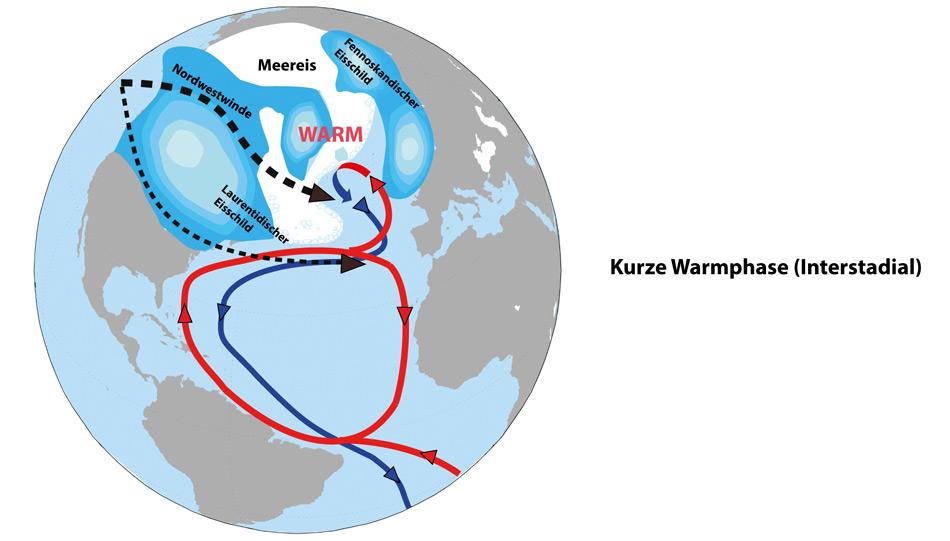 Die Nordhalbkugel im «Interstadial» (kurze, warme Zwischenphasen während der Eiszeit) In den lang anhaltenden Kaltphasen wuchsen die Eisschilde weiter an. Bei höheren Eisschilden über Nordamerika, wie sie dann in Zeiten mittlerer Meeresspiegelhöhen typisch waren, trennten sich die vorherrschenden Nordwestwinde in zwei Arme auf. Die Hauptwindströmung verlief nördlich des so genannten Laurentidischen Eisschildes und sorgte dafür, dass auch die Meereisgrenze vor der europäischen Küste sich gen Norden verlagerte.