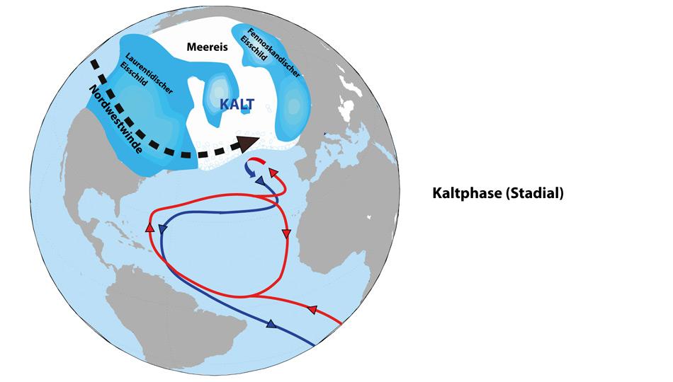 Die Nordhalbkugel im «Stadial» (Kaltphasen) In der eiszeitlichen Kaltphase bedeckten riesige Eisschilde den Norden Amerikas und Europas. Starke Nordwestwinde trieben das arktische Meereis bis zur französischen Küste hinunter. Weil der ausgedehnte Eisdeckel auf dem Nordatlantik den Wärmeaustausch zwischen Luft und Meer unterband, fehlte den Meeresströmungen die starke Antriebskraft wie unter heutigen Bedingungen. Die Ozeanzirkulation als mächtiges Förderband der Weltmeere war deshalb sehr viel schwächer ausgeprägt als in der Gegenwart und transportierte nur wenig Wärme in den Norden.