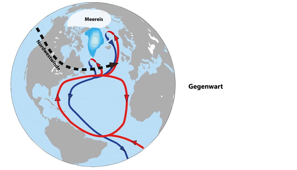 Schematische Darstellung der heutigen Klimabedingungen auf der Nordhalbkugel. In der Gegenwart ist die Ausdehnung des arktischen Meereises sehr viel geringer als in der letzten Eiszeit. Gleichzeitig verschwand der Laurentidische Eisschild als wichtigster Taktgeber für die eiszeitliche Ozeanzirkulation. Das heutige Klima verhält sich in Modellsimulationen deshalb sehr viel robuster gegen graduelle Veränderungen als in den Phasen mittlerer Vereisung und mittlerer Meersspiegelhöhen, in denen es während der letzten Eiszeit die rasanten Temperatursprünge auf der Nordhalbkugel gab. Abbildungen: AWI, Bremerhaven