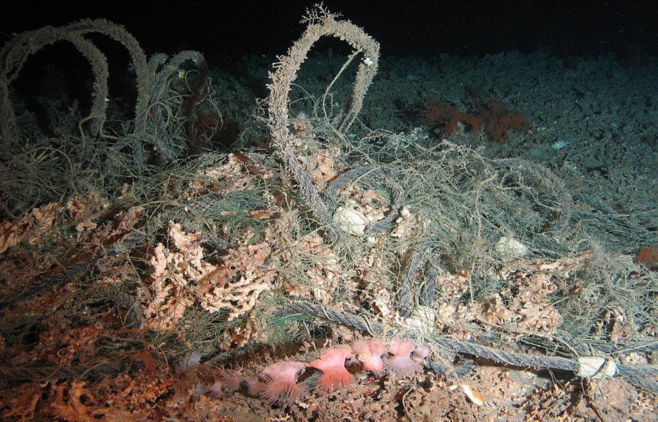 Müll im Mittelmeer von der Expedition POS400 mit FS Poseidon. Foto: Alfred-Wegener-Institut / MARUM Universität Bremen