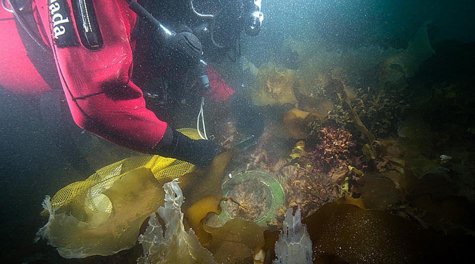 Neben der Schiffsglocke der HSM Erebus wurden noch andere Utensilien aus vergangener Zeit gefunden. © Parks Canada / Thierry Boyer