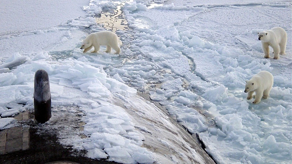 Dürfte bald zum Normalfall gehören - Eisbärenbegegnung mit einem russischen U-Boot im Packeis der Arktis.