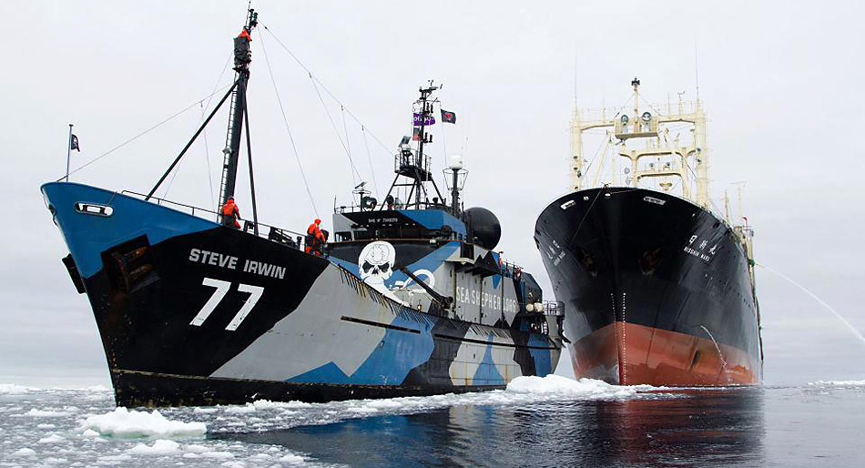 Das Sea Shepherd Schiff «Steve Irwing» im Einsatz gegen den Walfänger «Nisshin Maru».