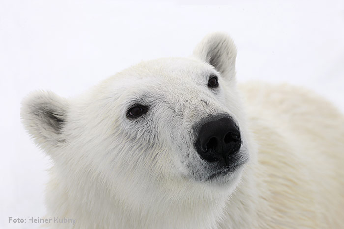 Spitzbergen-023