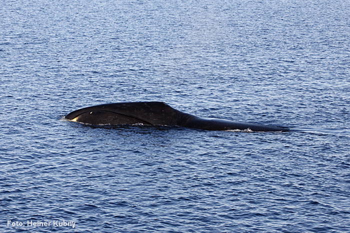 Spitzbergen-029