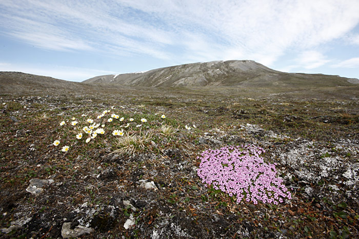 026_spitzbergen_2010