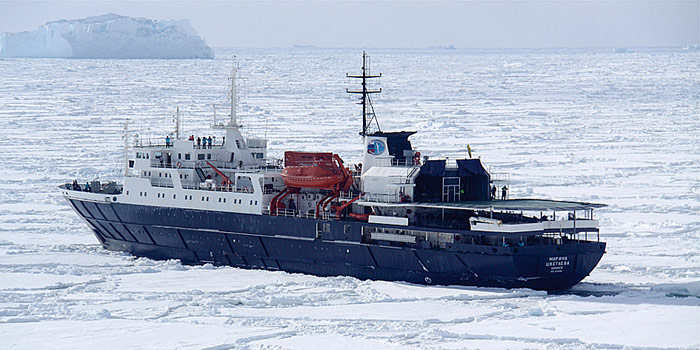 MV-Ortelius