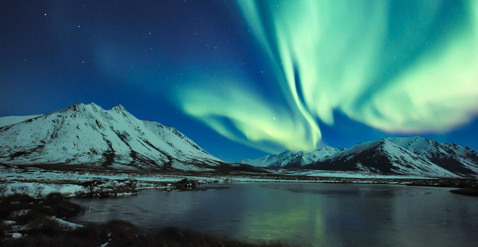 Nicht fehlen dürfen Polarlichte, wenn es um die Arktis geht.